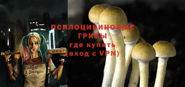 прущая мука Каменка
