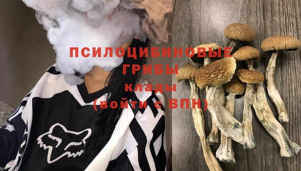 кокаин премиум Каменногорск