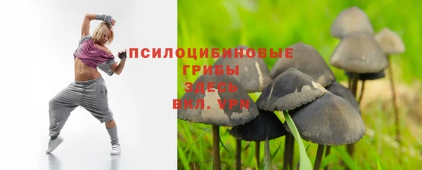 прущая мука Каменка