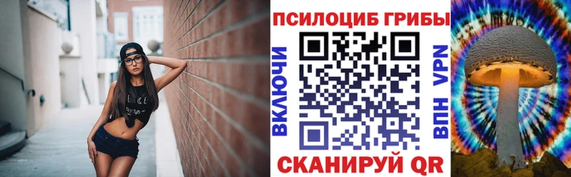 Купить где Новотроицк Галлюциногенные грибы MAGIC MUSHROOMS